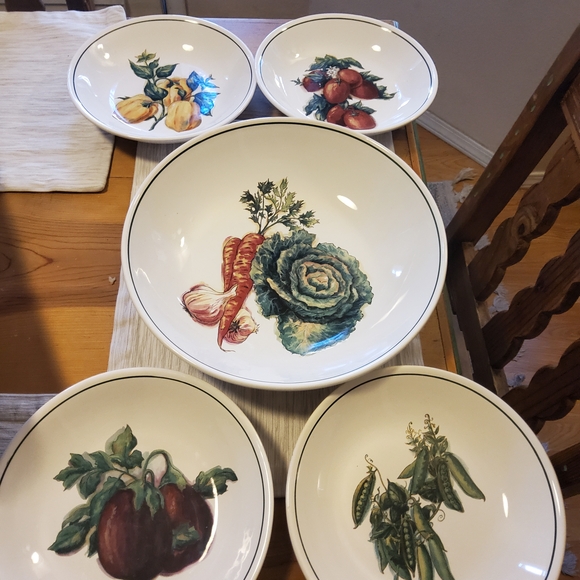 Williams Sonoma Other - Williams Sonoma Harvest Bowls and 1 Large Bowl (Total 5 Pieces) EUC
